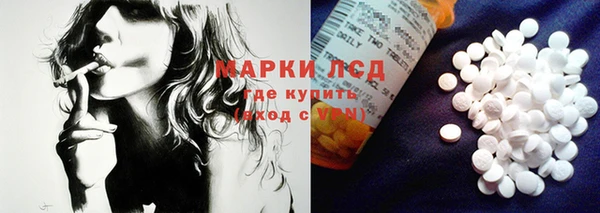 хмурый Аркадак