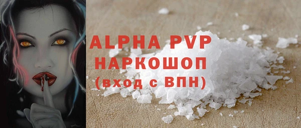 хмурый Аркадак
