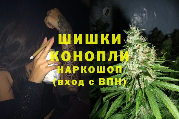 хмурый Аркадак