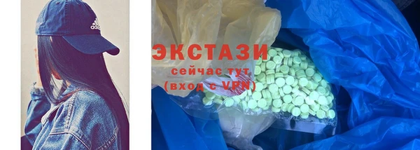 хмурый Аркадак