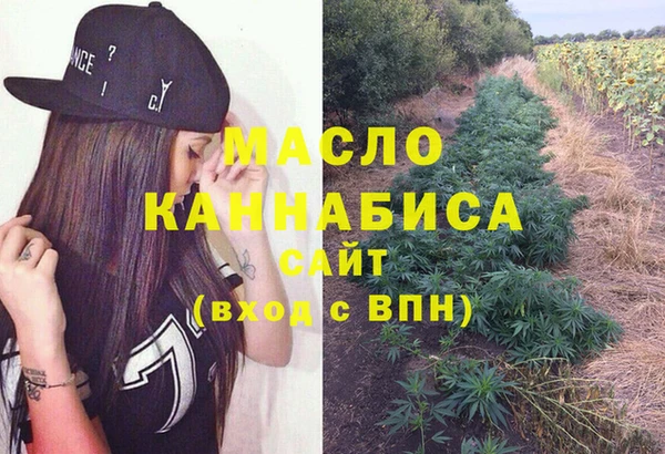 гидра Армянск