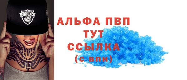хмурый Аркадак