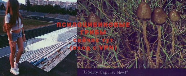 дурь Арсеньев