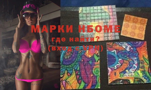 хмурый Аркадак