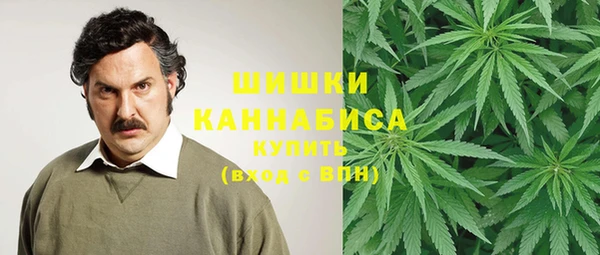 дурь Арсеньев