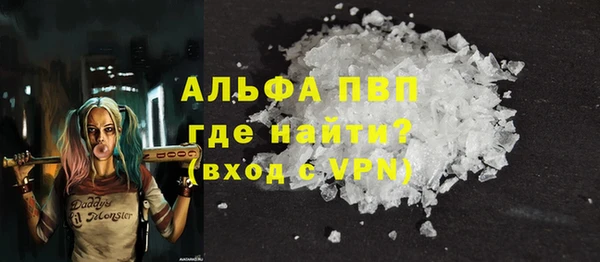 хмурый Аркадак