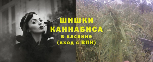 дурь Арсеньев